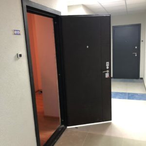 Противопожарная черная дверь / серия FRM55535